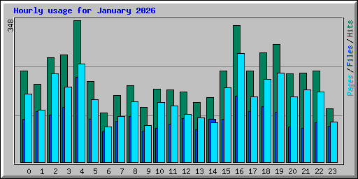 Hourly usage for January 2026