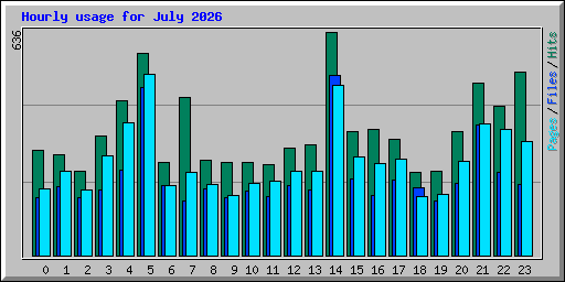 Hourly usage for July 2026
